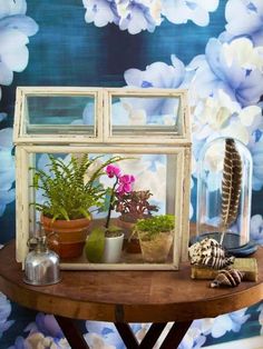 an old window is filled with potted plants and other decorative items on a table