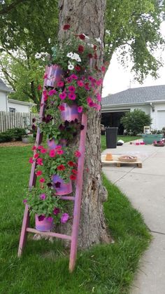 an old ladder is decorated with flowers and potted plants on the side of a tree