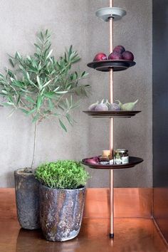 three tiered trays with fruit and vegetables on them next to a potted plant