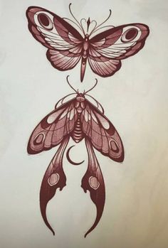 a drawing of a butterfly with wings spread out on it's back legs and feet