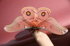 a large pink butterfly sitting on top of a persons finger in front of a red car