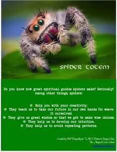 a spider with green eyes on it's back legs and the caption below