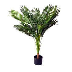 Artificial Potted Palm - Events and Crafts-Events and Crafts Areca Plant, Palm Tree In Pot, Majesty Palm, Yucca Tree, Tree In Pot, Palm Branch, Event Decor Direct, Areca Palm, Palm Plant