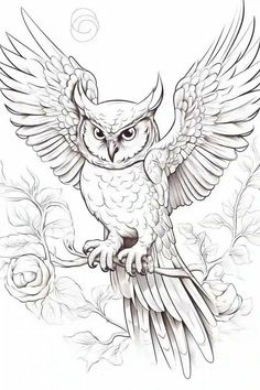 an owl sitting on top of a tree branch with wings spread out and eyes open