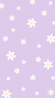 a purple background with white daisies on it