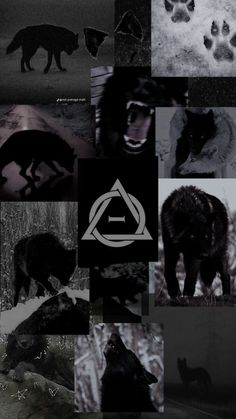 a collage of black and white images with animals