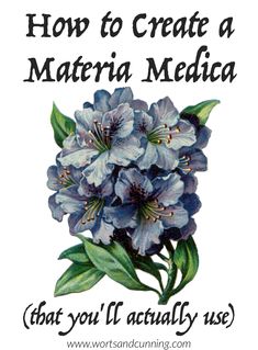 how to make a materia medica herb book Herbal Apothecary List, Materia Medica Journal Ideas, Materia Medica Diy, Herbal Materia Medica, Herbal Materia Medica Template, Spiritual Herbalism, Tea Apothecary, Herbalist Recipes, Herbal Crafts