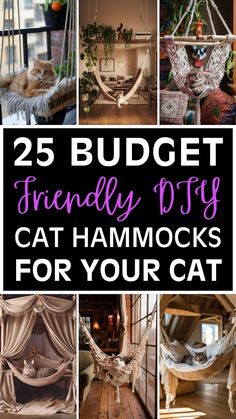 25 budget friendly diy cat hammocks for your cat