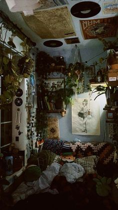 a room filled with lots of plants and pictures on the wall next to a window