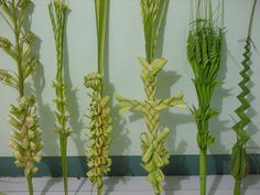 some very pretty looking plants by a wall with long stems on it's sides