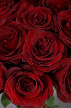 a bunch of red roses in a vase