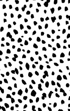 black and white spotted animal print pattern