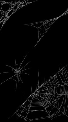 two spider webs on a black background with white lines in the bottom right corner