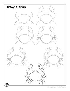 the crab is drawn and ready to be colored