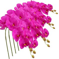 PRICES MAY VARY. Material:Real touch PU flowers+ plastic stems. Size:Total length 106cm/42", 1 orchid stems have 9 flowers. Color：Purple. Packing:4 pieces phalaenopsis flowers( NOT including vases) Application: fake orchid stems plants perfect for home office restaurant decoration, also an excellent ornaments for wedding party holiday. Color:Purple
 
 Szie:Whole length:106cm/42"
 
 Material:PU,real touch flowers and stems
 
 When shipped,each branches are putting close in order to reduce space. Plants For Home, Artificial Orchids, Real Touch Flowers, Orchid Flowers, Orchid Flower, Restaurant Decor, Flowers And Leaves, Artificial Plants, Home Office Decor