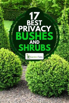 some bushes and shrubs with the words 17 best privacy bushes and shrubs on it