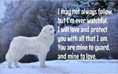 a white dog standing in the snow with a poem written on it's side