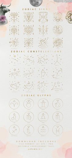 zodiac symbols and their meanings on a white background with pink flowers in the foreground