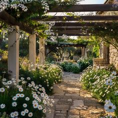 a stone pathway with white flowers and greenery on both sides, leading to an outdoor dining area