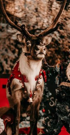 a reindeer is sitting next to a christmas tree with decorations on it's antlers