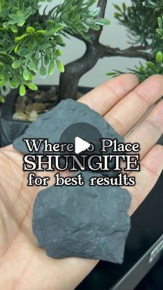 Spiritual Shop on Instagram: "Placing Shungite around your home is believed to offer several spiritual benefits:

- Energy cleansing: Shungite is thought to absorb and neutralize negative energies
- EMF protection: It’s said to shield against electromagnetic frequencies from electronic devices
- Grounding: Shungite may help connect you to Earth’s energies, promoting balance
- Stress relief: Its presence is believed to create a calming atmosphere in your living space
- Spiritual growth: Some claim it enhances meditation and spiritual practices

#svctribe #soulfulvibesco #shungite #crystalhealing #energycleansing #emfprotection #spiritualgrowth #holistichealth #crystalpower #mindfulness #energywork #spiritualwellness #crystaltherapy #naturalhealing #healingcrystals #positiveenergy" Crystal Grimoire, Energy Cleansing, Crystal Power, Emf Protection, Calming Atmosphere, Energy Cleanse, Crystals Stones, Crystal Therapy