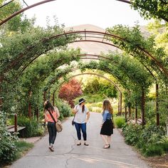 three women walking down a path under an archway