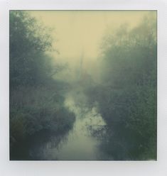 a river surrounded by trees in the fog