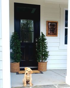 Black front door front porch black door with black trim Black Front Doors, Black Trim, Labrador Retriever, Labrador, Front Door, Trim, Siding, Black