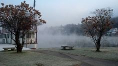 a foggy lake with benches and trees in the foreground