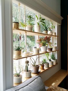 a window sill filled with potted plants on top of wooden shelves next to a couch