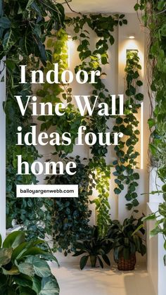 an indoor vine wall with plants growing on it and the words indoor vine wall ideas for home