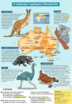 the australian map with different animals and their names