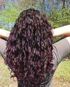 Purple Hair Color Ideas For Curly Hair, Curly Black Hair With Purple Highlights, Natural Curly Purple Hair, Curly Hair With Coloured Highlights, Purple Money Piece Curly Hair, Hair Colour On Curly Hair, Brown Curly Hair With Colored Highlights