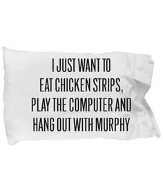 a pillow with the words i just want to eat chicken strips, play the computer and hang out with murphy