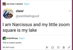 the tweet is posted to someone on their twitter account, which reads i am narciss and my little zoom square is my lake