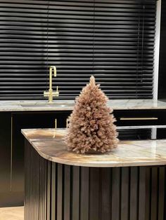 a counter top with a small tree on it