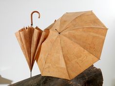 an open umbrella sitting on top of a piece of wood