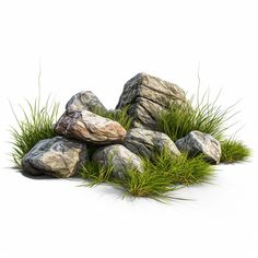 rocks and grass on a white background with clippings to cut out the image