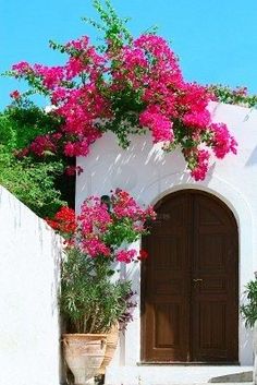 a white building with pink flowers on the outside