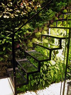 an indoor garden with plants growing on the wall and stairs leading up to the second floor