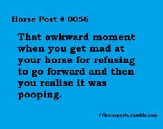 a blue background with the words horse post 005 that awkward moment when you get mad at your horse for refising to go forward and then you