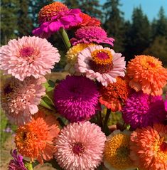 a vase filled with lots of different colored flowers