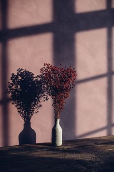 two vases with red flowers on a table in front of a pink wall and window