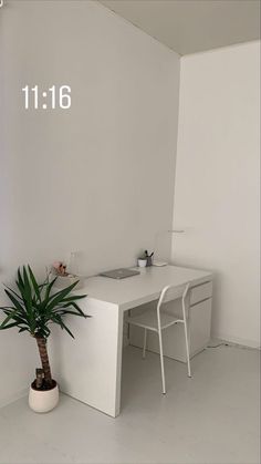 a white room with a desk and chair next to a potted plant on the floor