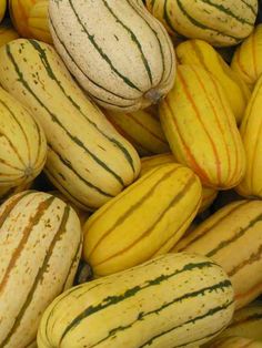 a pile of yellow and green gourds sitting next to each other