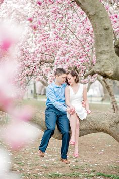 a man and woman sitting on a tree branch with pink flowers in the foreground