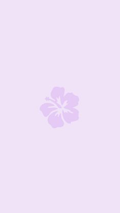 a pink flower on a light purple background