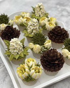 cupcakes decorated with flowers and pine cones on a white tray, ready to be eaten