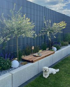 a white dog laying in the grass next to a wooden bench with plants and flowers on it