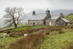 two sheep grazing in front of an old stone house on the side of a hill